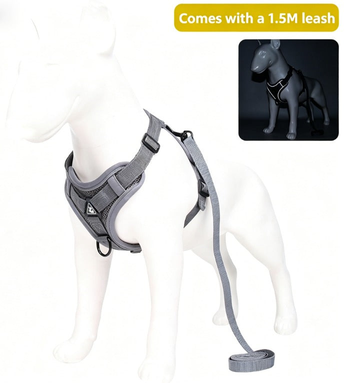 Adjustable Polyester Safety Walking Harness for Cats
