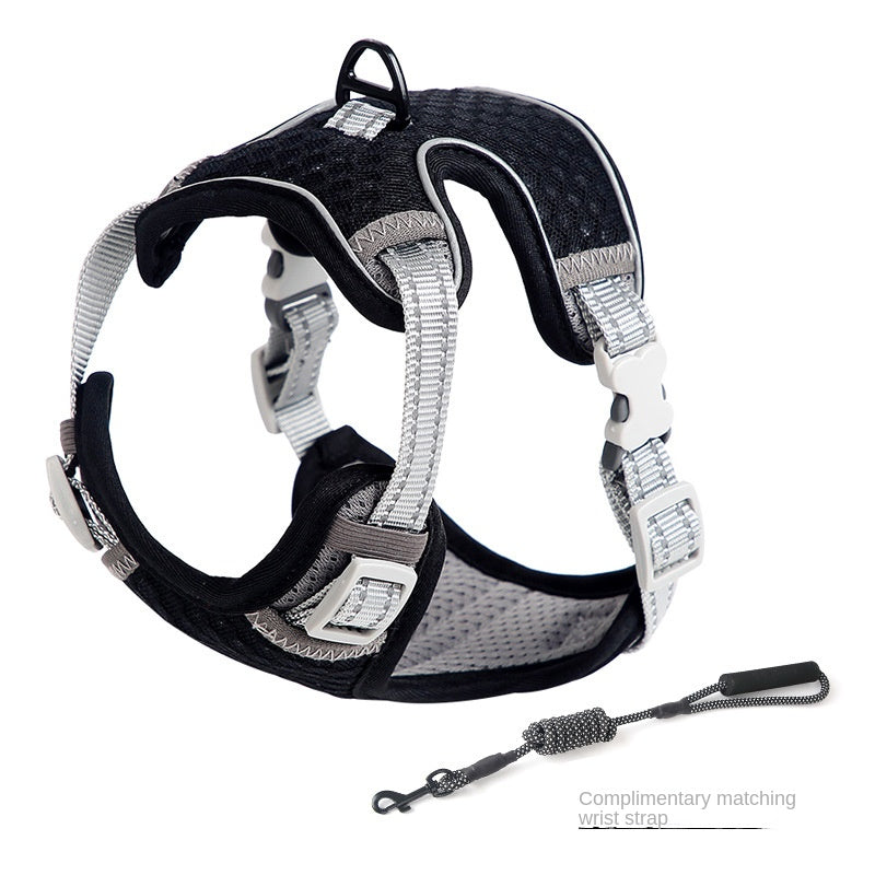 Anti-Escape Nylon Walking Harness for Outdoor Cat Training