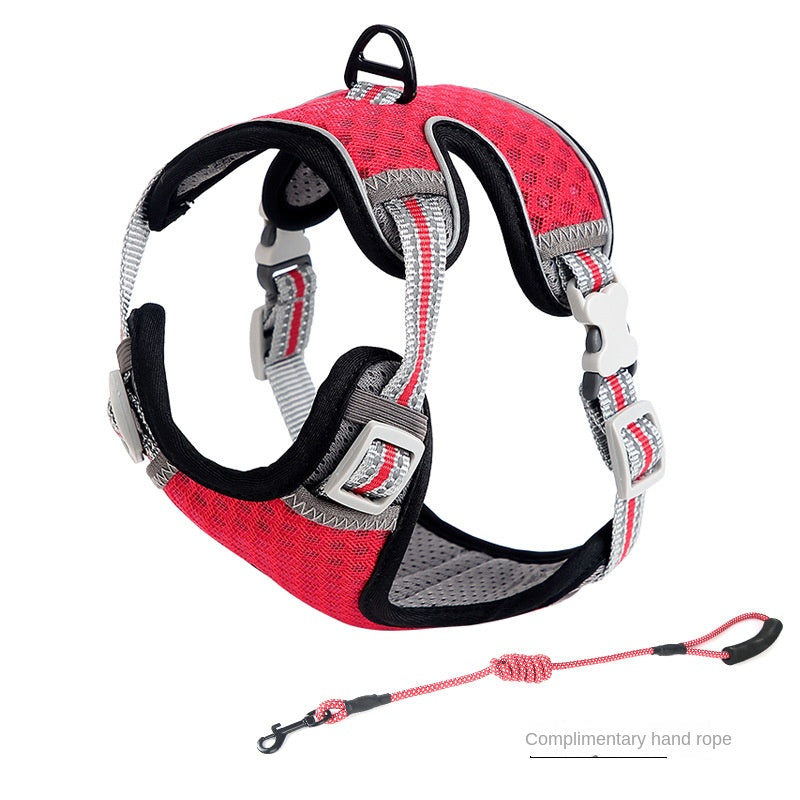 Anti-Escape Nylon Walking Harness for Outdoor Cat Training