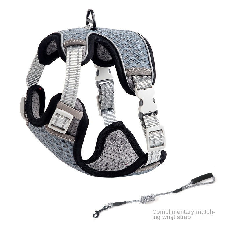 Anti-Escape Nylon Walking Harness for Outdoor Cat Training