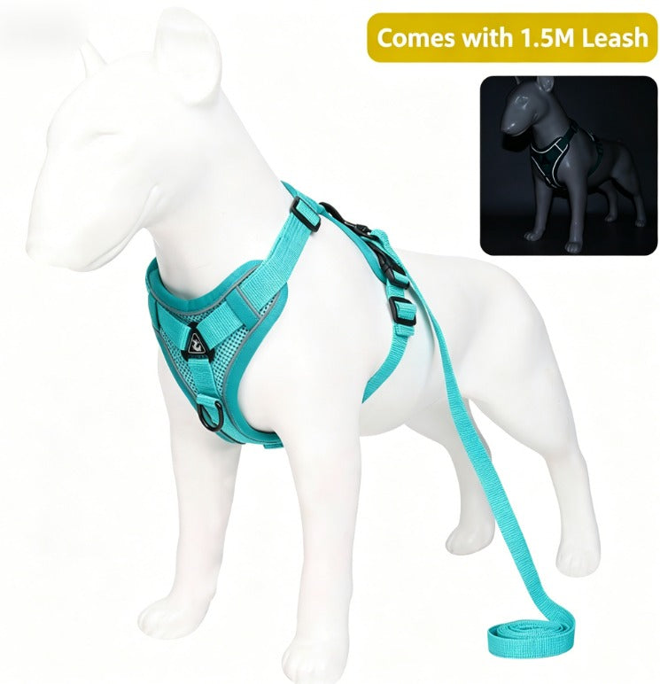 Adjustable Polyester Safety Walking Harness for Cats