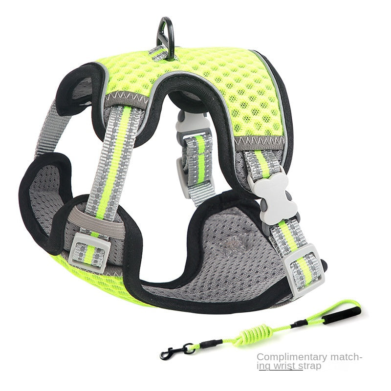 Anti-Escape Nylon Walking Harness for Outdoor Cat Training