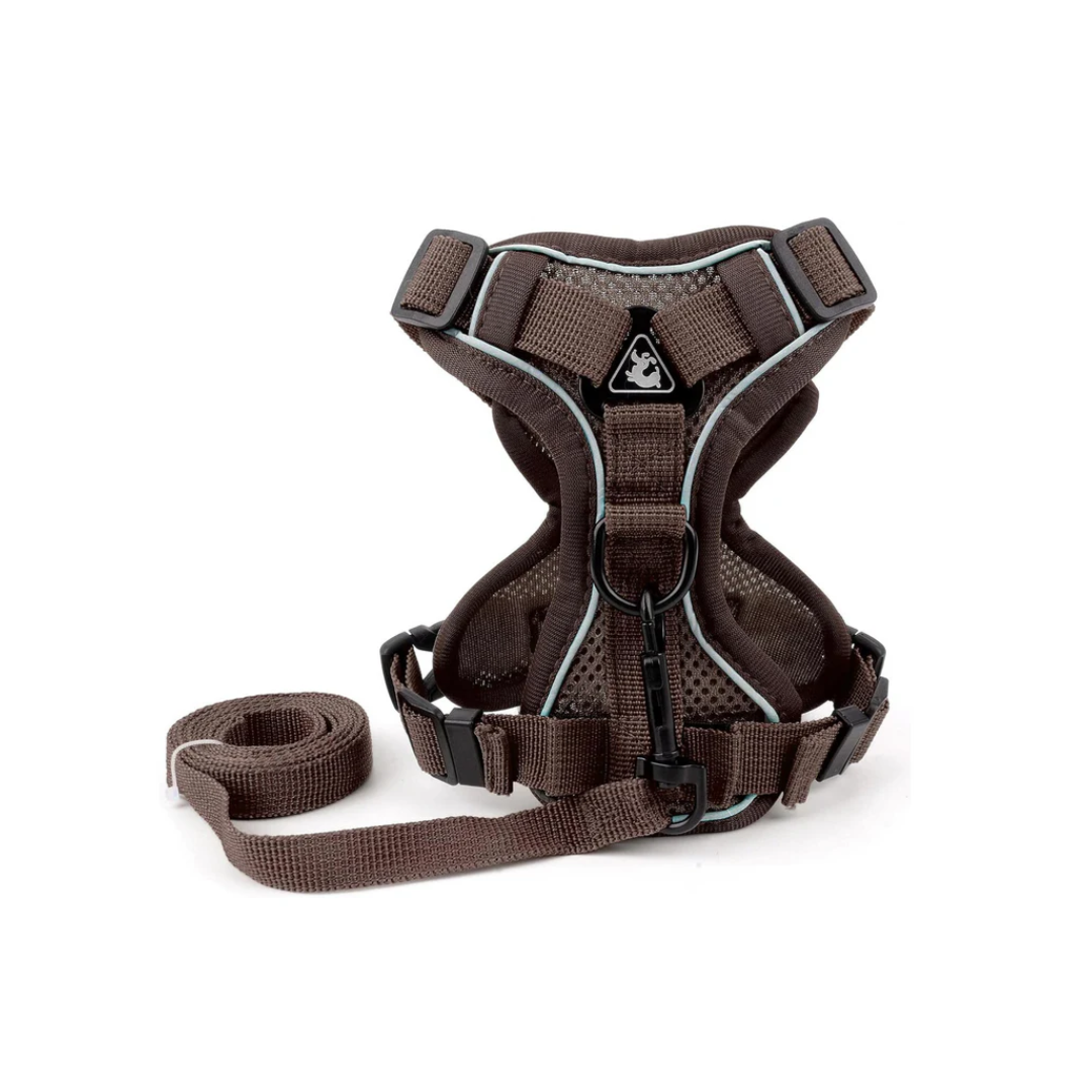 Adjustable Polyester Safety Walking Harness for Cats