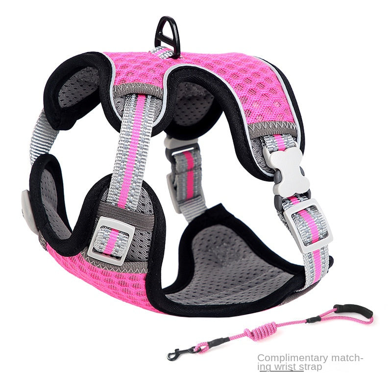 Anti-Escape Nylon Walking Harness for Outdoor Cat Training